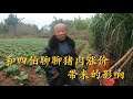 看专业屠夫四伯对于猪肉涨价的一些见解，和大家聊聊对餐饮界和普通人有什么影响