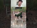 Wait for end 🤣 #youtubeshorts #shortfeed #shortsviral #shortsvideos