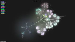 DavidHDev/react-bits - Gource visualisation