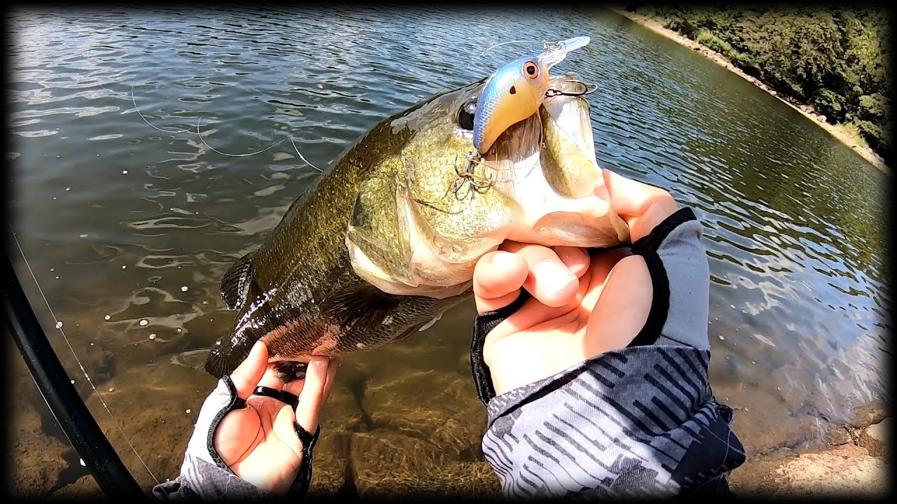 【デリンジャー】晴天微風クリアウォータークランキング【クランクベイト】