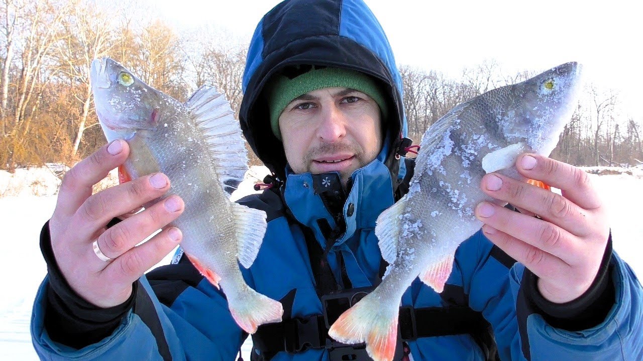 Поставив Донки на Десні. Риболовля в Сильний Мороз