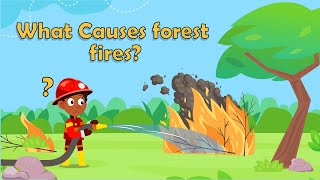 What Causes forest fires for kids - What is a forest fire for kids - Forest fires explained for kids