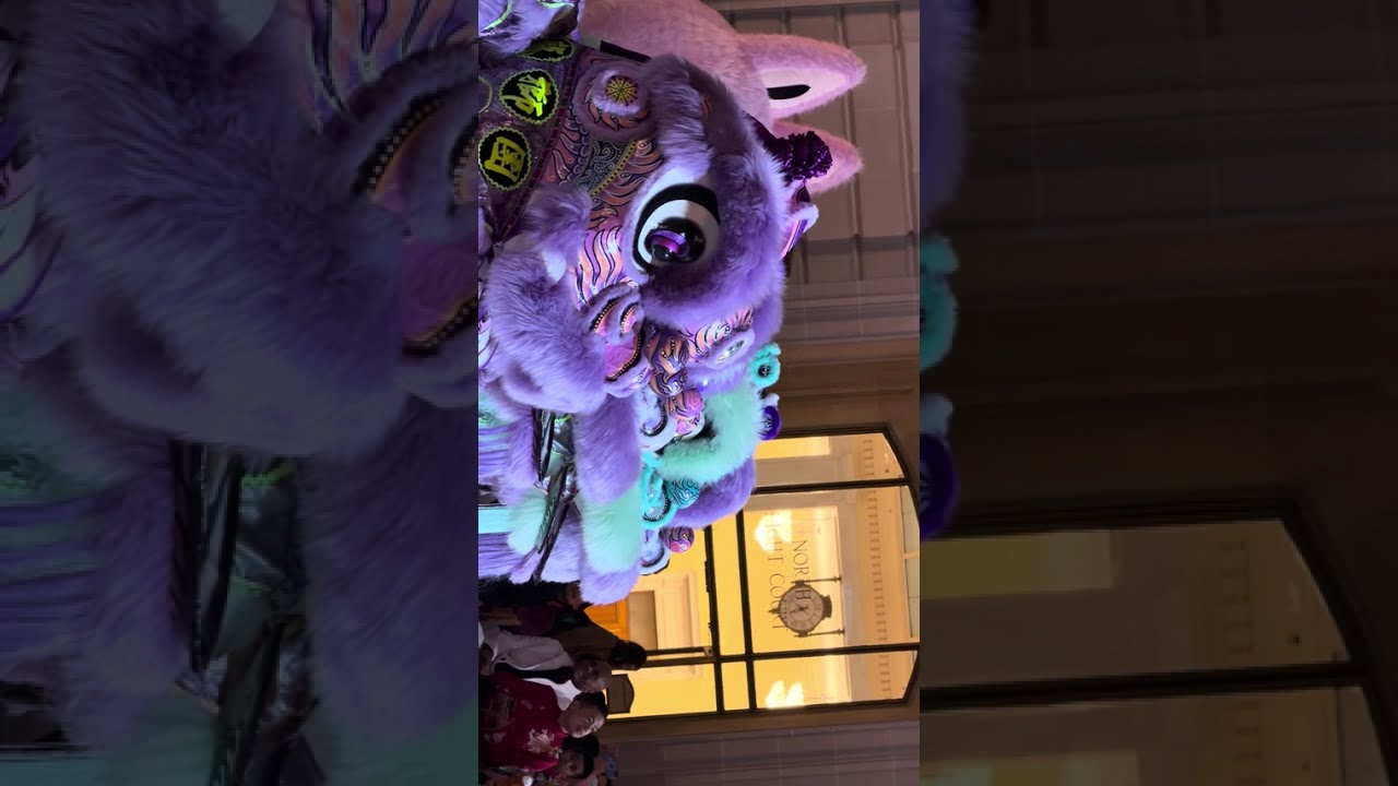 Lunar Chinese New Year 2-23 -26 in San Francisco City Hall, Mayor Daniel Lurie