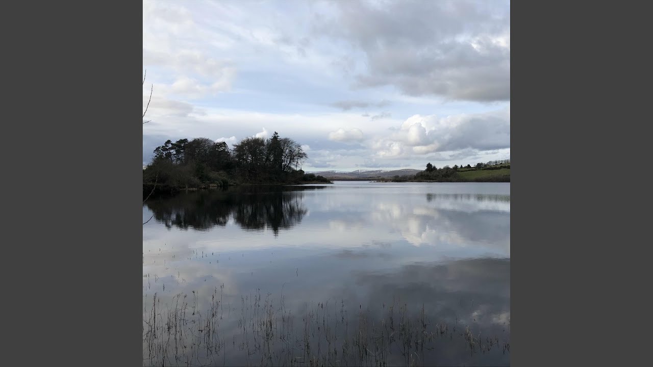 Reflectie