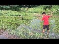 Frog hunting:- টেটা দিয়ে ব্যাং শিকার। Easy way for catching frog in 2019