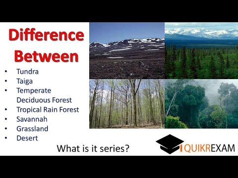 Difference between tundra taiga temperate  tropical rain forest Savannah grassland desert