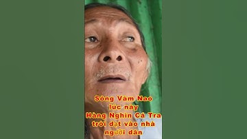 CHUYỆN LẠ TẠI SÔNG VÀM NAO HÀNG NGHÌN CÁ TRA TRÔI DẠT VÀO BỜ quá kỳ lạ bà con ơi #shorts