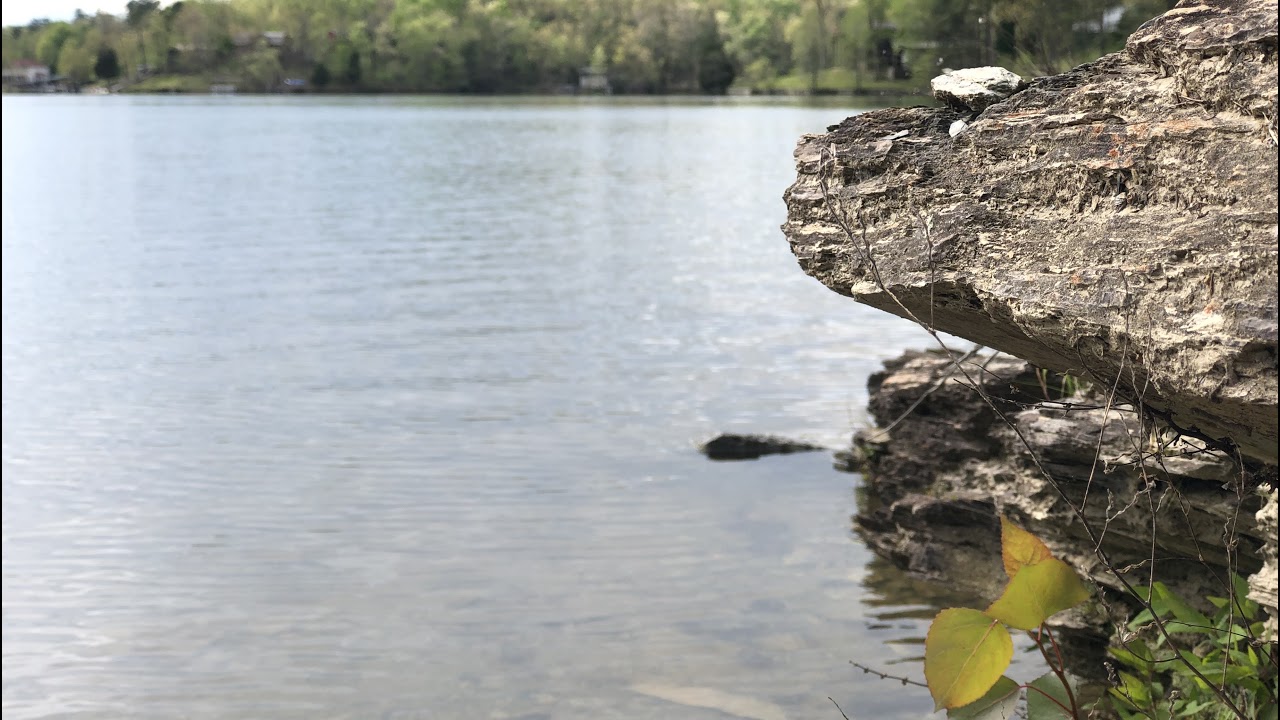 AFK Kalib3r Live Stream