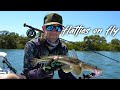 Catching Flathead on fly - Gold Coast Fishing with Louis J