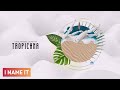 Dave Andres, Demetra  - Tropicana || Official Audio