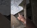 سقف شينكو سقف شينكو