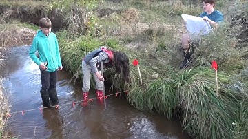 How to Measure Stream Flow