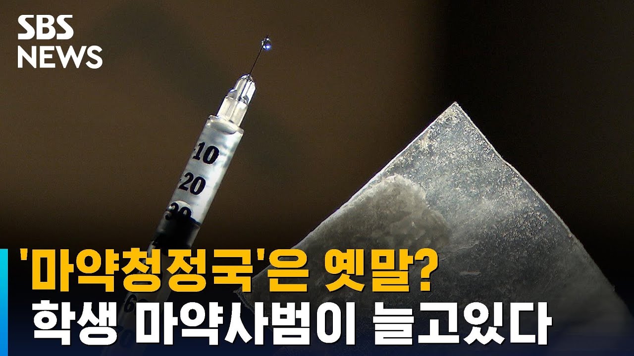 일상에 퍼진 마약…5년새 학생 · 회사원 마약사범 증가 / SBS - YouTube