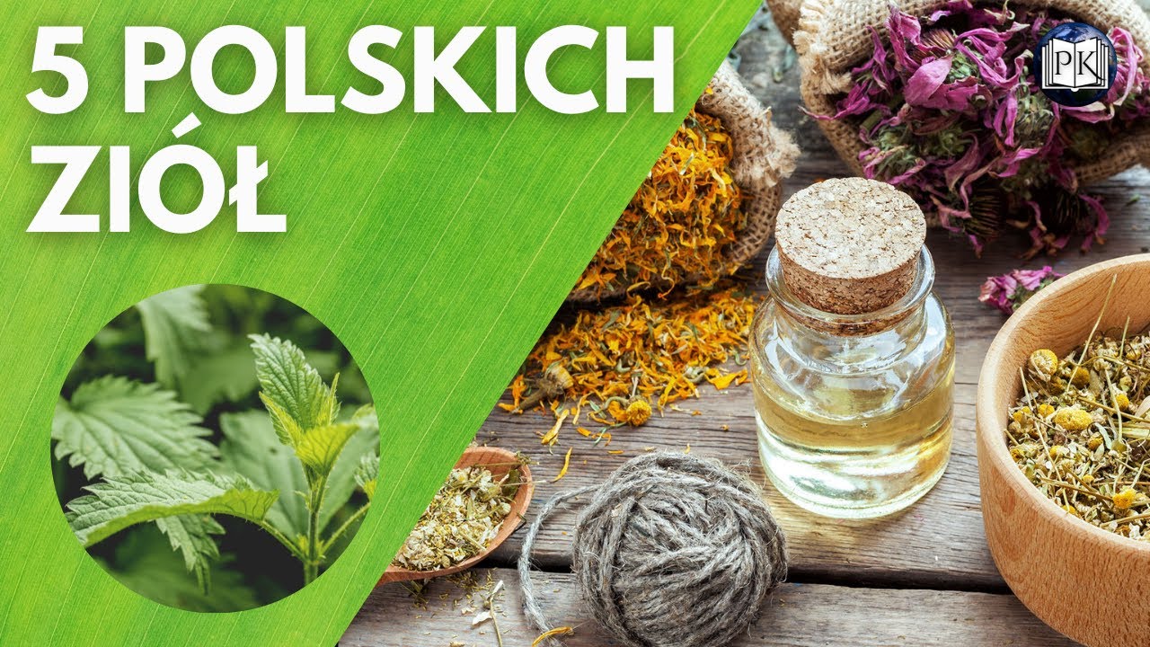 5 NAJBARDZIEJ LECZNICZYCH ZIÓŁ W POLSCE - PODZIEMNY ZIELNIK