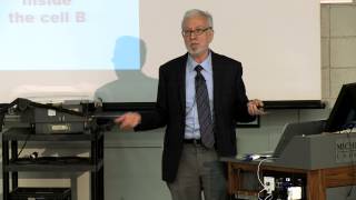 How And Why Do Older Brothers Influence Sexual Orientation In Men?