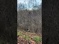 Hanging out on the side of the road