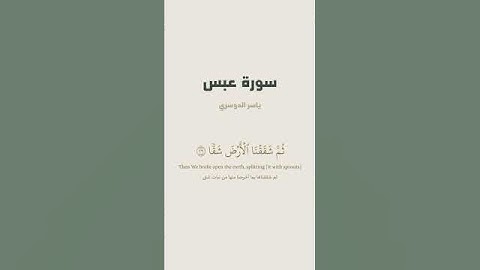 سوره عبس الشيخ ياسر الدوسري فلينظر الإنسان إلى طعامه