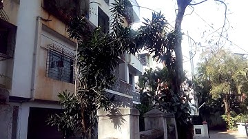 Micromax Canvas Magnus A117 Video Sample