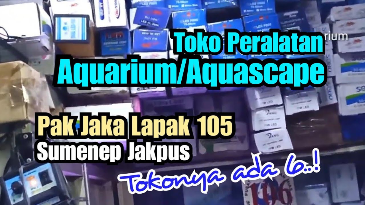 Pak Jaka Lapak 105 Toko Peralatan Aquarium Jakarta Pasar Ikan Hias Sumenep Jakpus YouTube