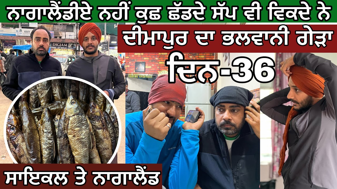 ⁣ਨਾਗਾਲੈਂਡ ਦੇ ਬਜ਼ਾਰ। ਸੱਪ ਵੀ ਵਿਕਦੇ ਏਥੇ। ਦੀਮਾਪੁਰ ਦਾ ਭਲਵਾਨੀ ਗੇੜਾ। Cycling on Nagaland। Ghudda । Day-36 ।