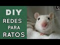 DIY | Rede para ratos Twister /Limpeza | ratazana/mercol/ rattus norvegicus