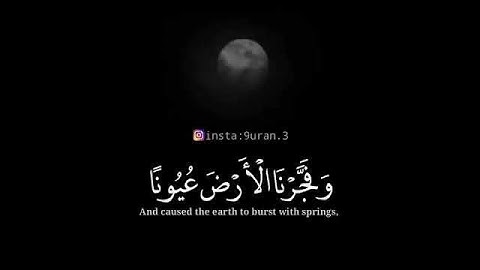 حالات واتس اب قران كريم| القارئ هيثم الدخين|