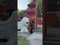 Kak Sulis kandangin Can Macanan