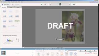 Picasa Tutorial - Photo Note Card Setup And Printing Windows Hp Printer