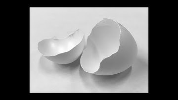 eggshell nano structure