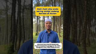 Hati-hati jika sering mimpi berada di hutan. #ruqyah #kajianislam #sihir #sunnah #ilmu #doa #shorts