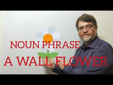 English Tutor Nick P Noun Phrase (33) Be a Wall Flower