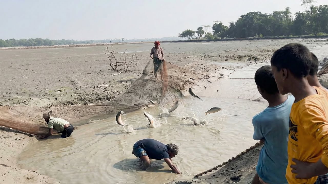 গ্রামের মানুষ মাছ ধরছে | Village Fishing in Dry River! Unbelievable Catch Moments