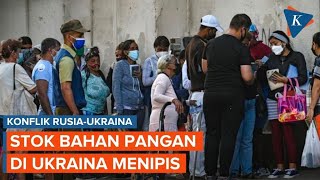Ukraina Minta Bantuan Bahan Pangan ke Indonesia