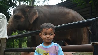 KEBUN BINATANG BANDUNG BAYAR SEIKHLASNYA 😱 | KONDISI BANDUNG ZOO SETELAH 5 BULAN TUTUP 🥺 