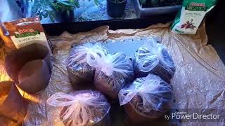 Breathable flower pots
