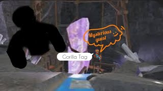 Having fun in gorilla Tag, Ft. Mysterious Guest