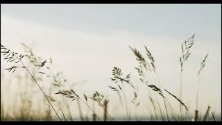 DJ Dello - This One Thing