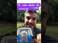 COMO ACOSTUMAR UM CACHORRO A VIAJAR SEM SEDATIVO