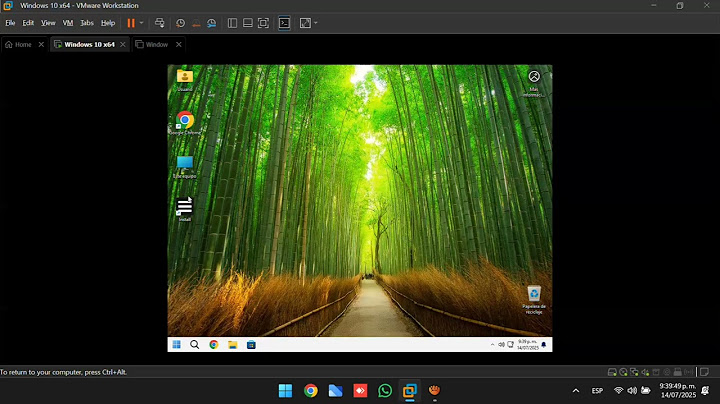 WINDOWS 11 PROJECTS EDITION 24H2 ULTIMA COMPILACION DE JULIO 2025.
