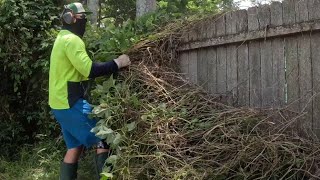 NEGLECTED property SAVED! Epic tall grass cutting