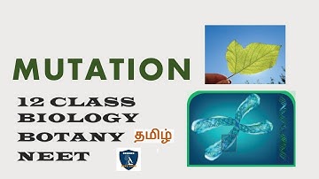 Mutation in Tamil | Chromosomal Basis of Inheritance | Botany I Class 12 | TNSCERT | NEET