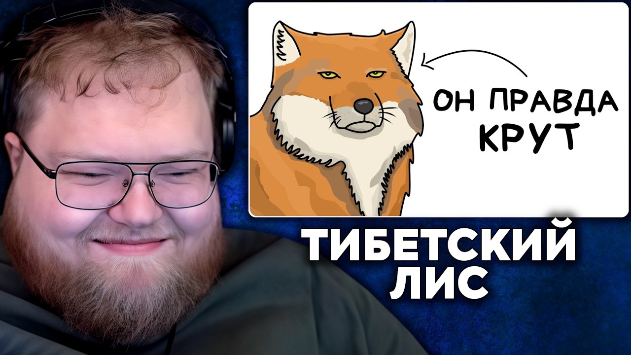 Т2х2 СМОТРИТ: Ты - Тибетский Лис (И ТЕБЕ РЕАЛЬНО ПОВЕЗЛО) | Setonix