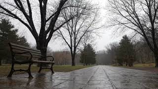 Rain Sounds For Sleeping - 99% Instantly Fall Asleep With Rain And Thunder Sound Heal Insomnia
