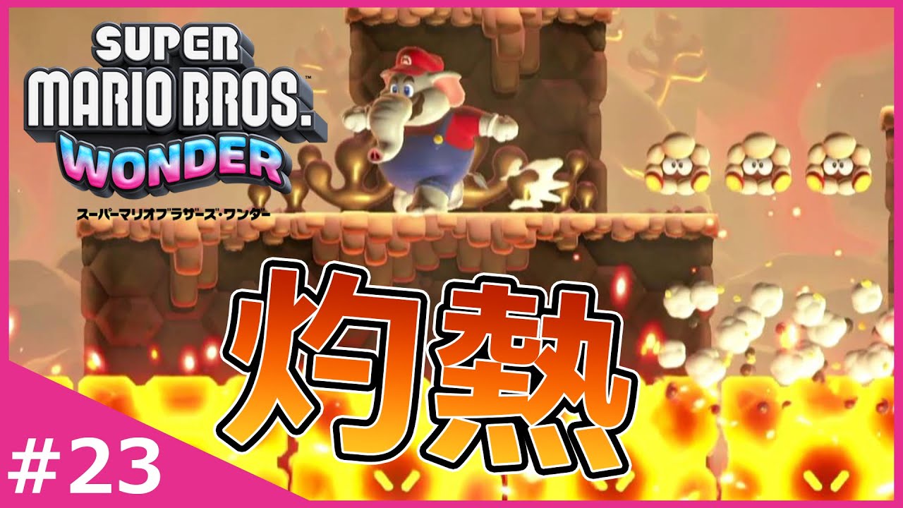 スーパーマリオブラザーズワンダー ポケモン スカーレット