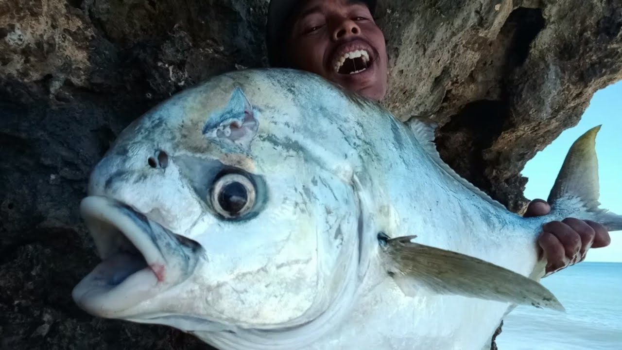 PANIK...! Jangan mancing ikan besar di tebing sendiri kalau gak mau begini || ROCK FISHING