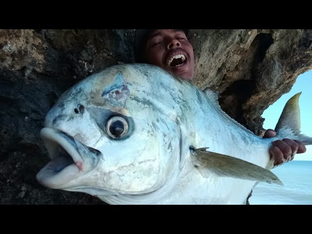 PANIK...! Jangan mancing ikan besar di tebing sendiri kalau gak mau begini || ROCK FISHING class=