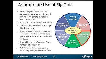 Data Governance in the Age of Big Data