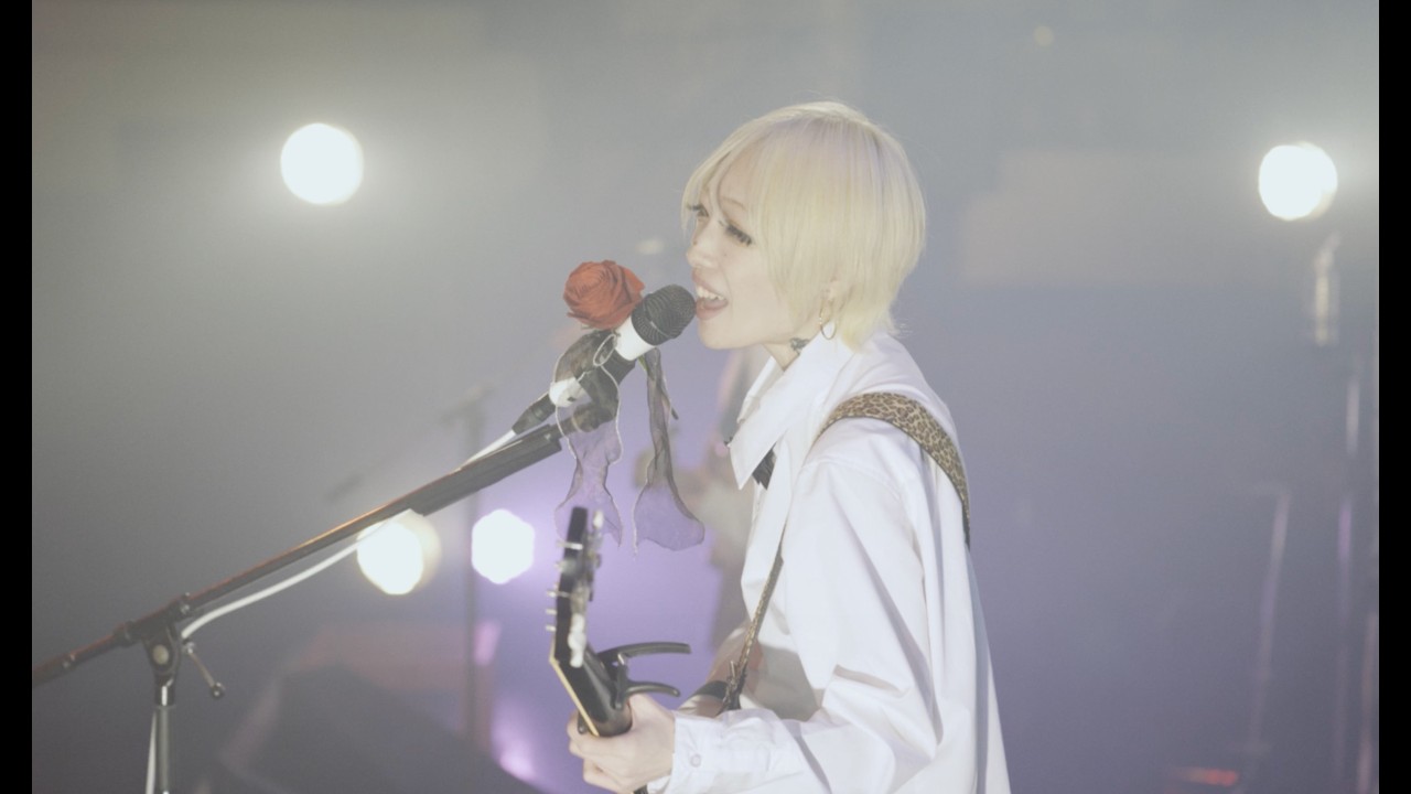 つきみ - 「ねー、ダーリン」 Live at 東京キネマ倶楽部 - YouTube