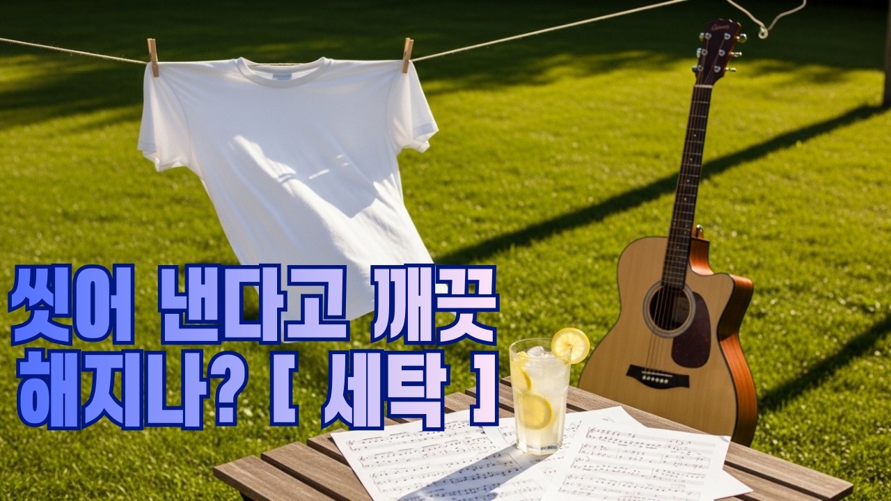 세탁 | 항상 깨끗하게