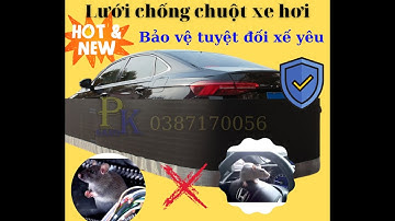 Cách chống chuột vào xe ô tô|chuột vào Khoang máy triệt để|Tuyệt đối 100% |Cách hay| Nanopk